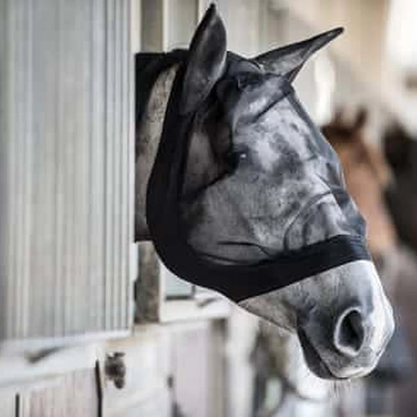 Eldorado Fly Mask