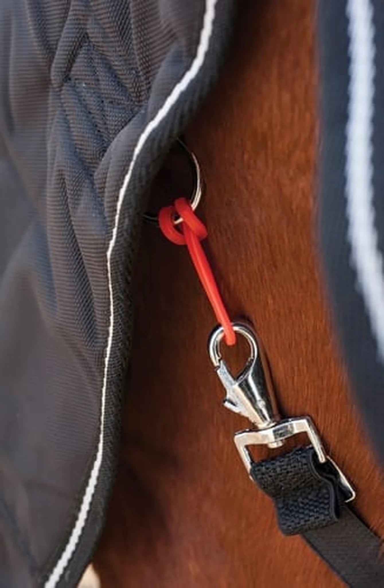 Eldorado SafeGum Blanket Leg Strap Saver product photo