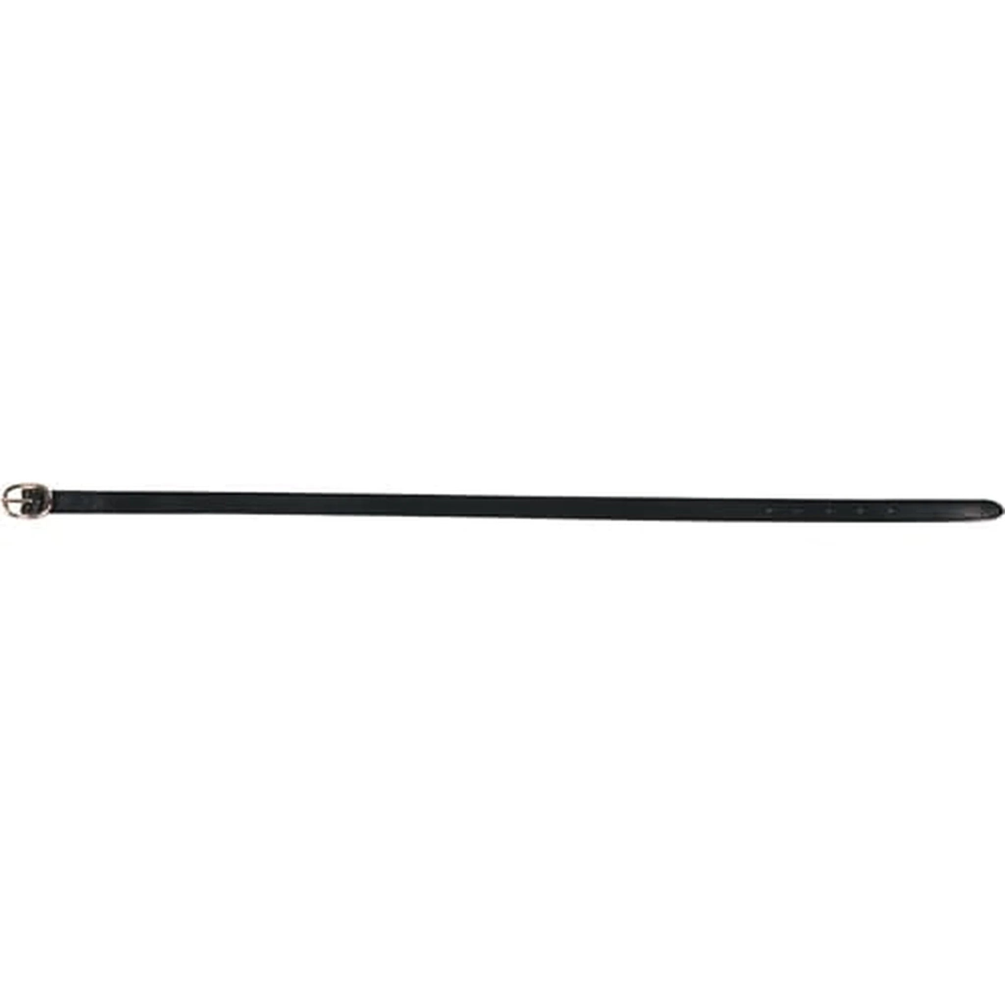 Eldorado Spur Straps product photo