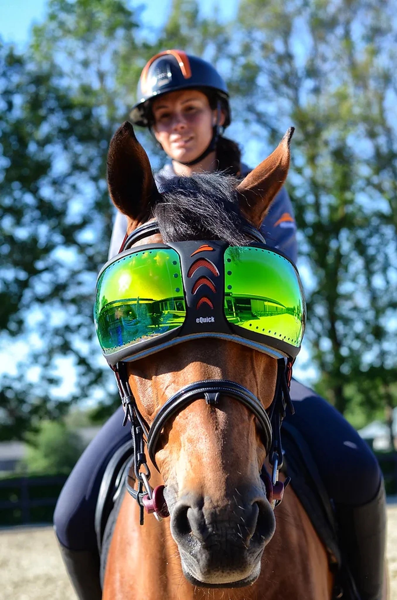 eQuick eVysor - Green