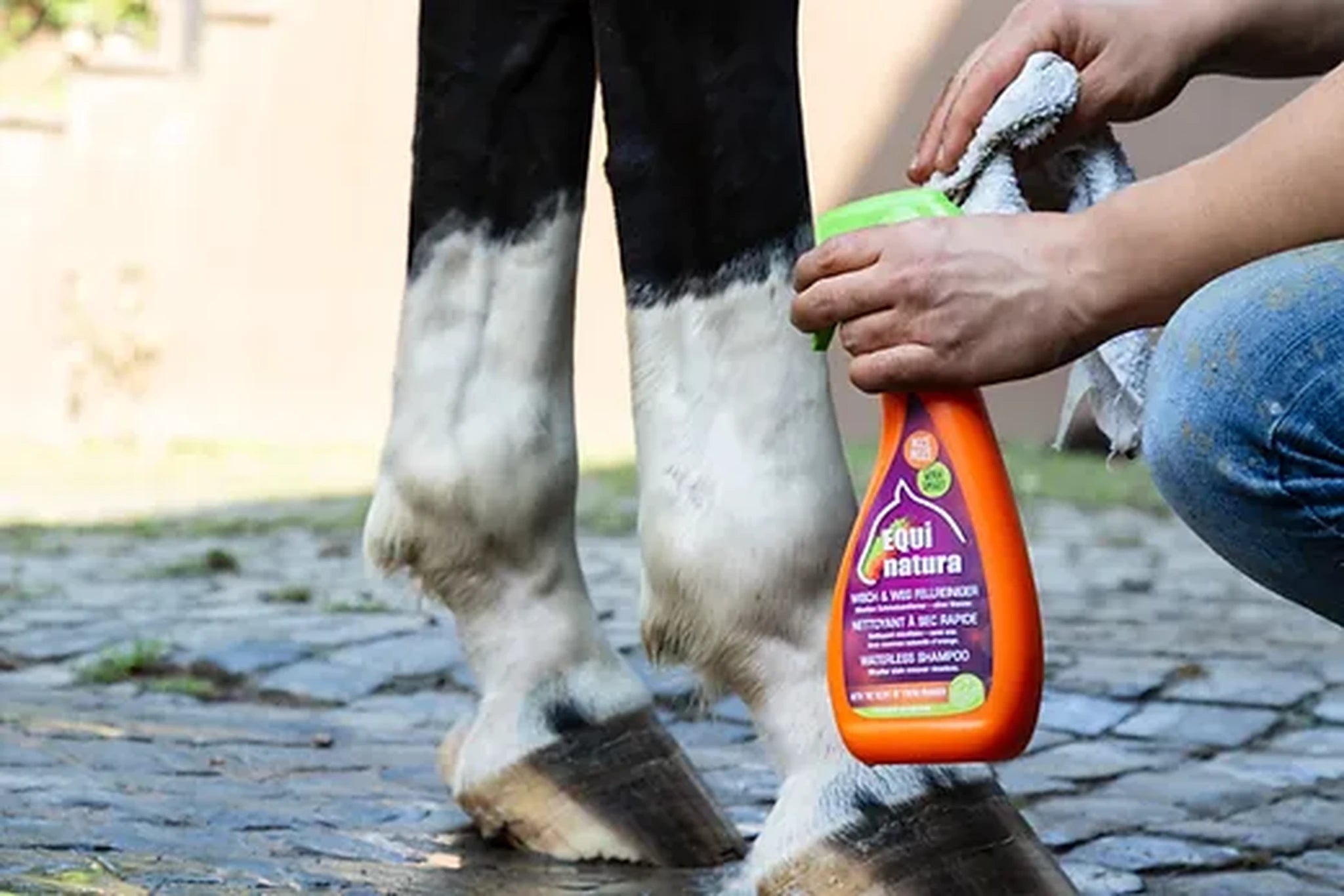Equinatura Waterless Shampoo-500ml - STD