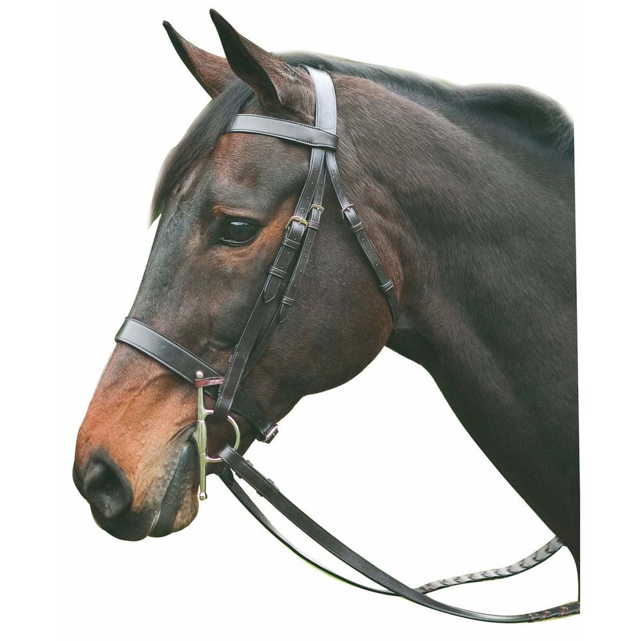 Henri de Rivel Advantage Hunt Bridle - Havana