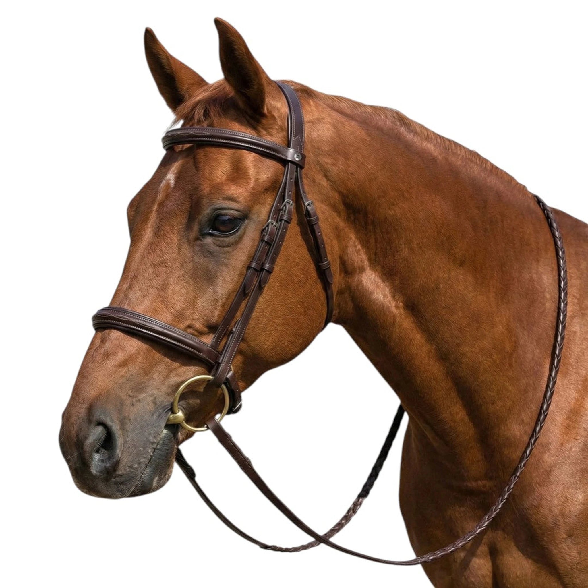 Henri de Rivel Advantage Mono Crown Padded Bridle - Havana