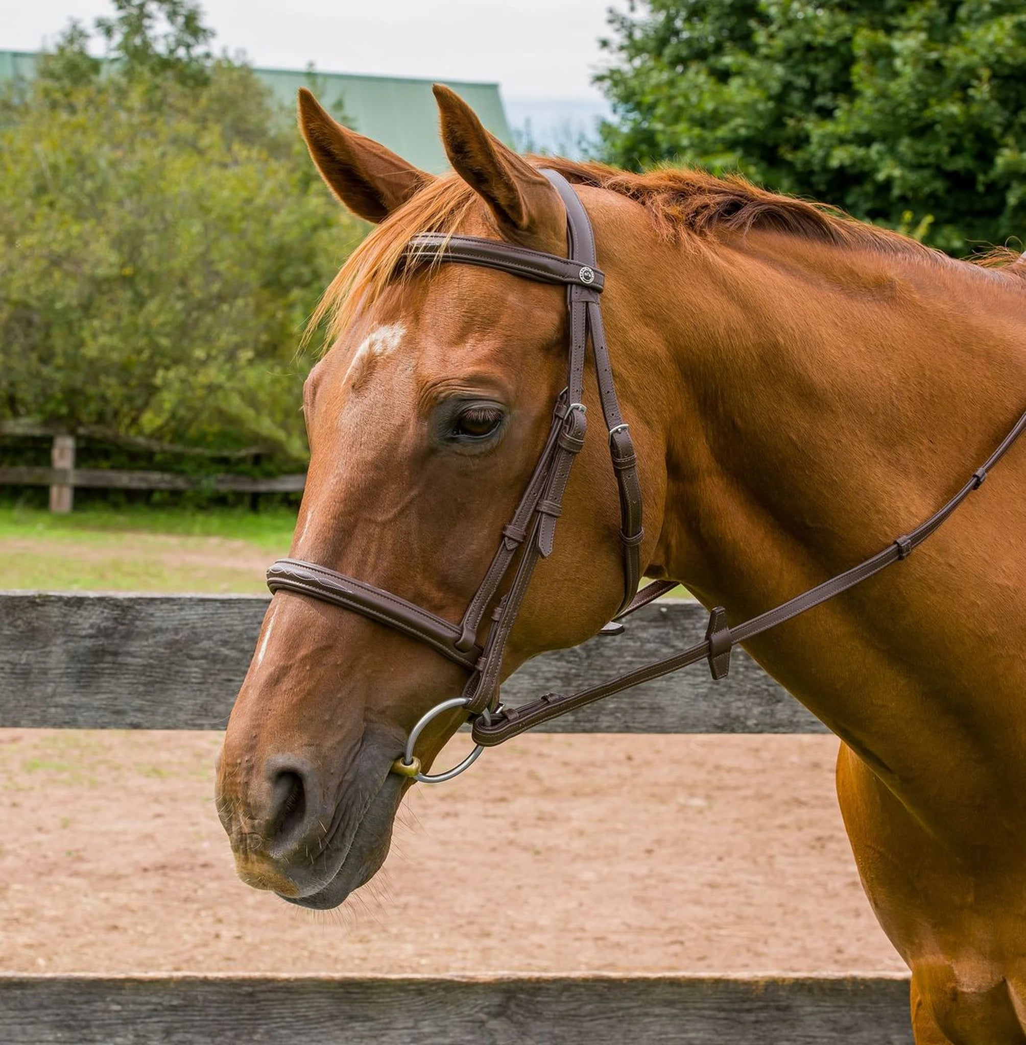 Henri de Rivel Kushy Raised Fancy Stitched Bridle - Havana
