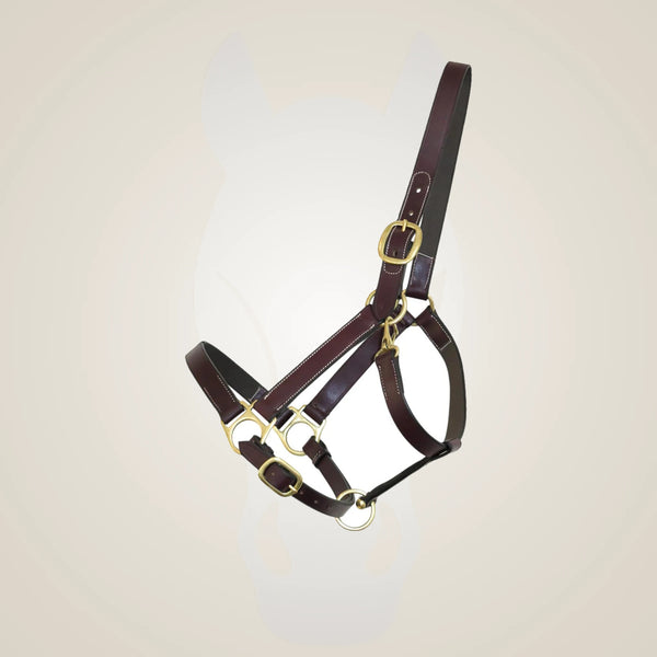 Henri de Rivel Leather Turnout Halters With Snap