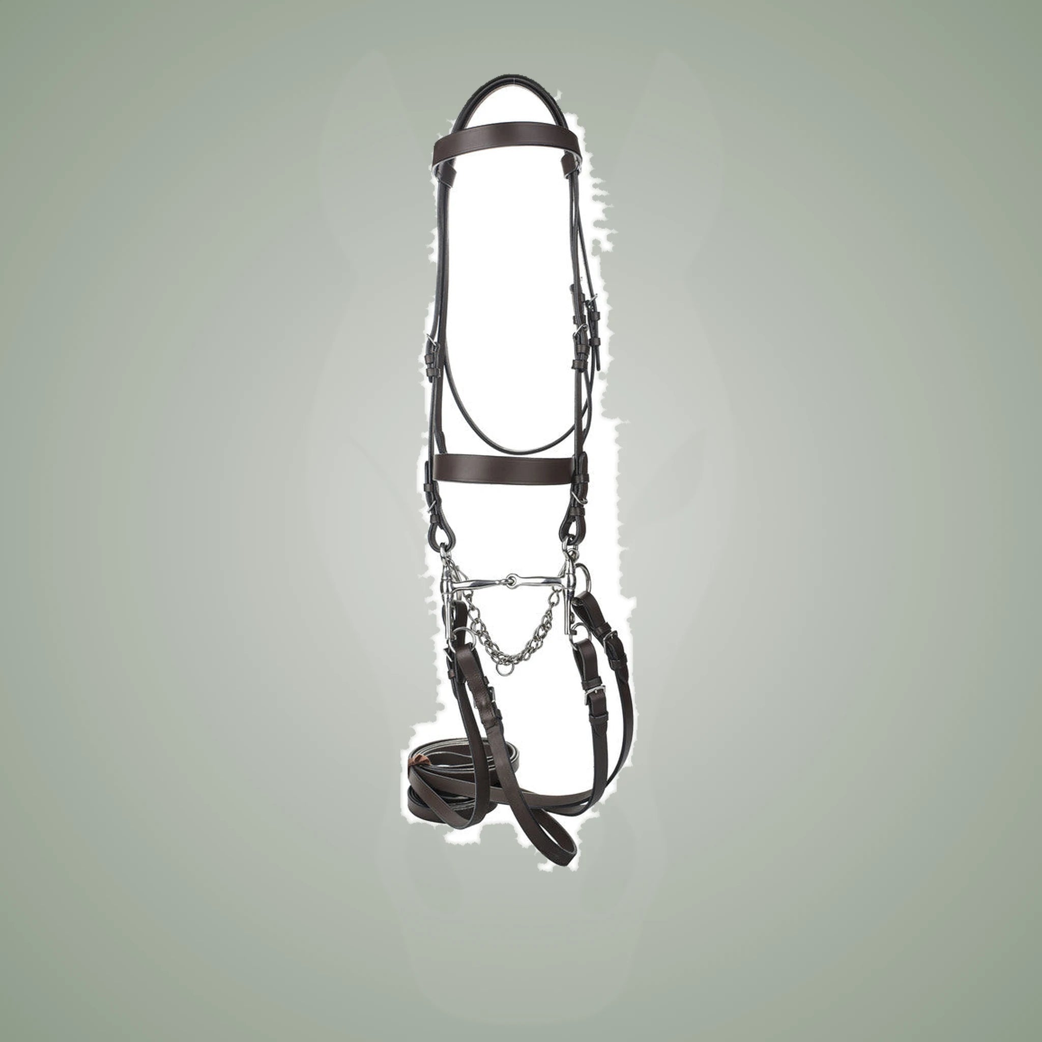 HENRI DE RIVEL POLO BRIDLE WITH DOUBLE REINS - Havana