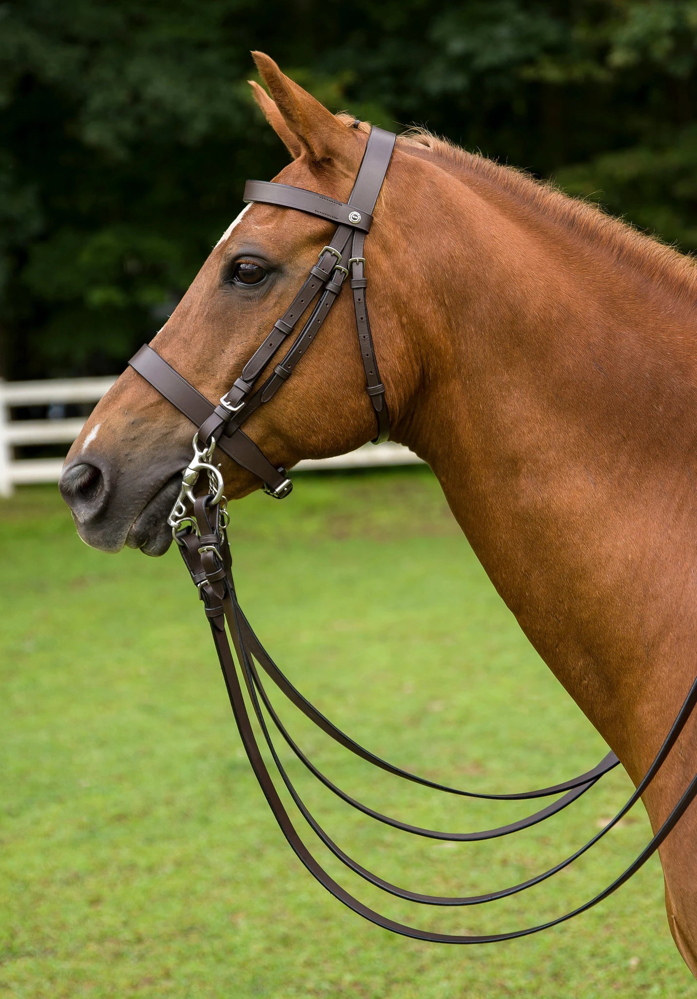 HENRI DE RIVEL POLO BRIDLE WITH DOUBLE REINS - Havana