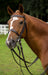 HENRI DE RIVEL POLO BRIDLE WITH DOUBLE REINS - Havana