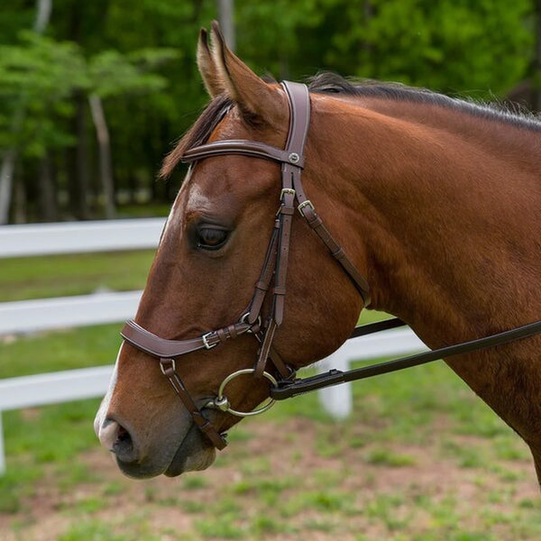 Henri de Rivel Pro Anatomical Bridle