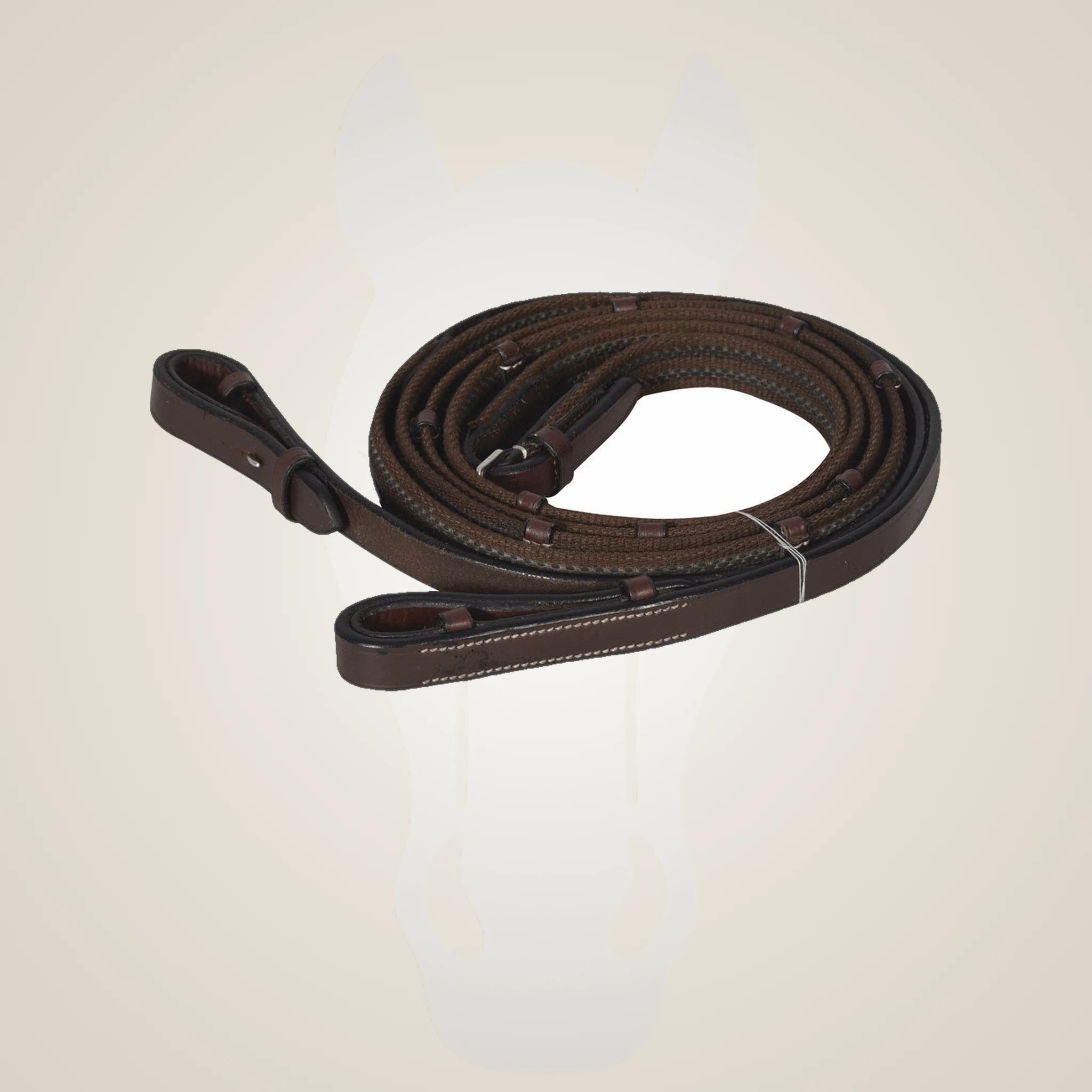 Henri de Rivel Pro Rubber Lined Web Reins - Havana