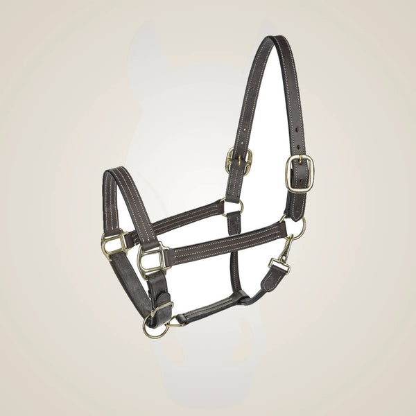 Henri de Rivel Triple Stitched Halter