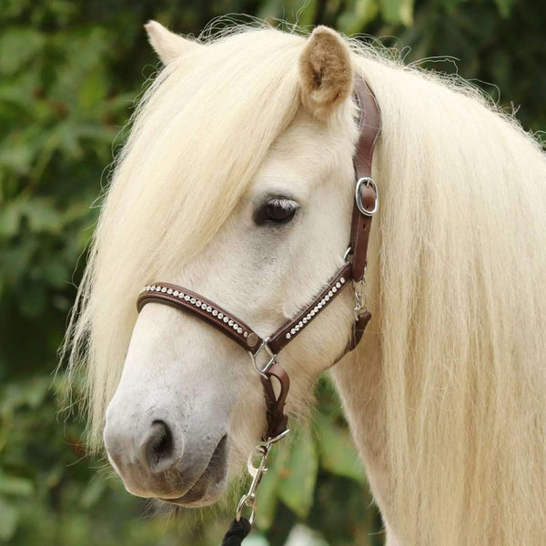 Hilbar Crown Diamond Leather Halter