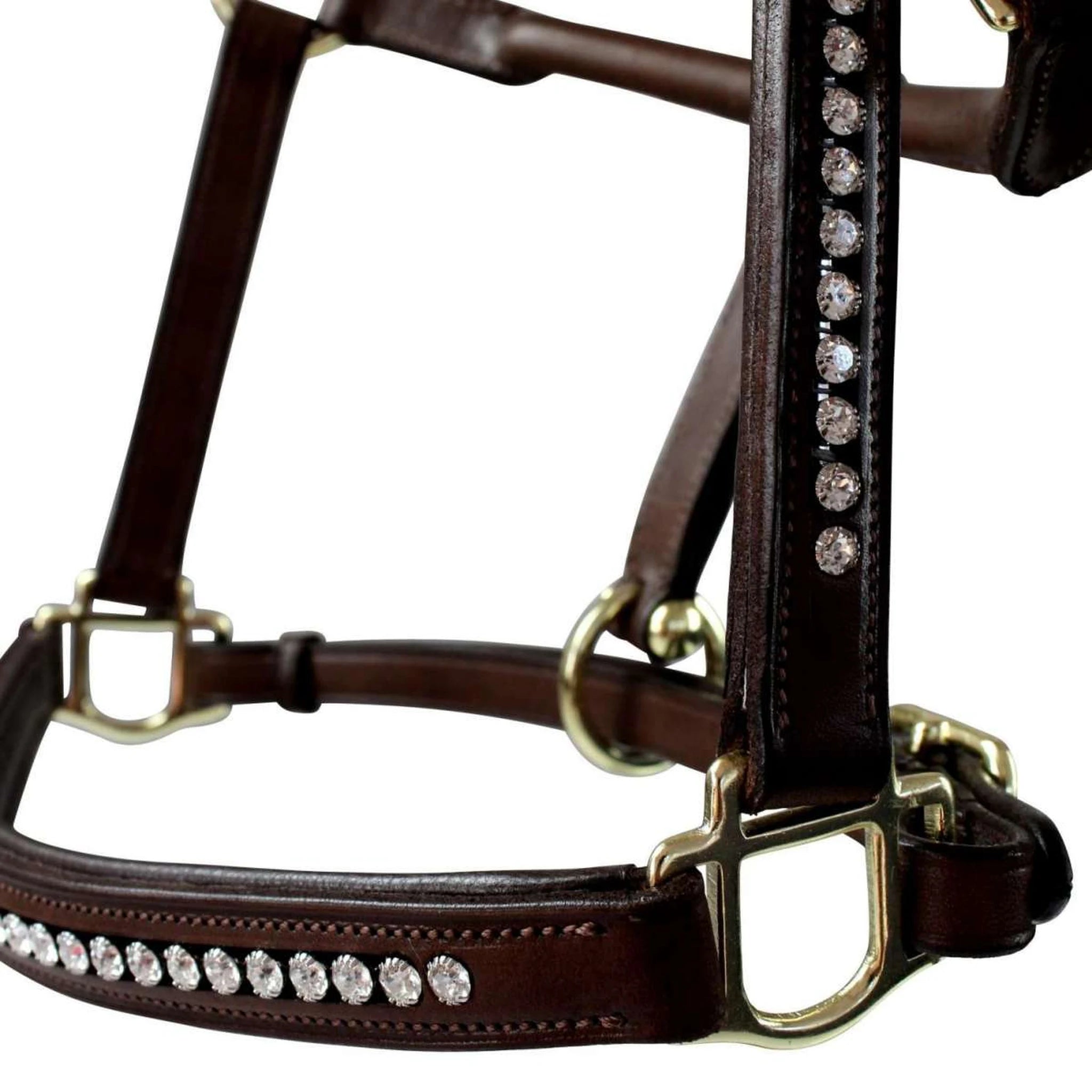 Hilbar Crown Diamond Leather Halter product photo