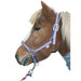 Hilbar Nylon Iceland Halter Set product photo