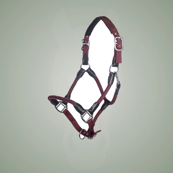 HKM Carlotta Halter