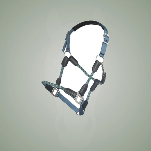 HKM Nele Halter