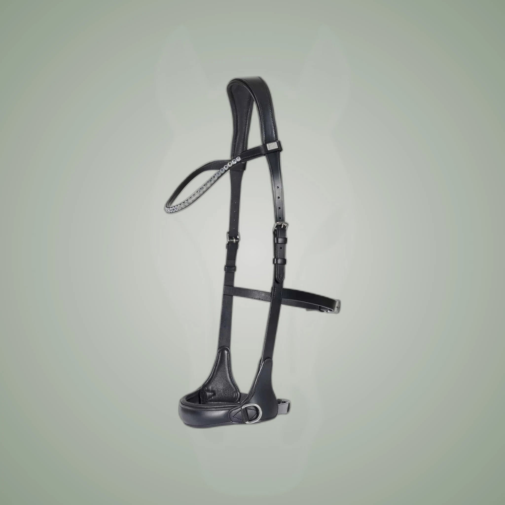 HorseGuard Bitless Bridle on One-Eyed Equine branded background