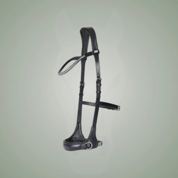 HorseGuard Bitless Bridle