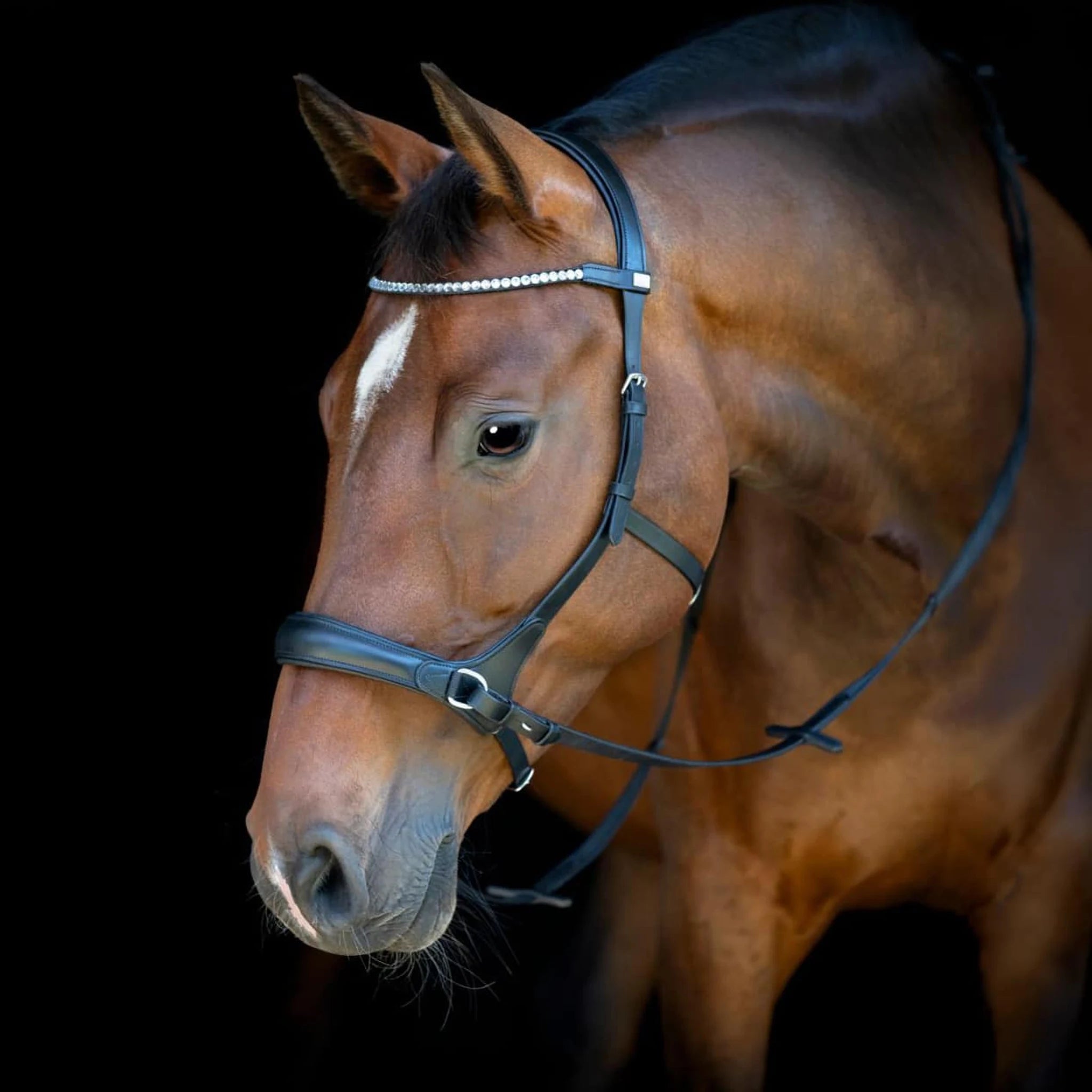 HorseGuard Bitless Bridle product photo