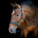 HorseGuard Bitless Bridle product photo