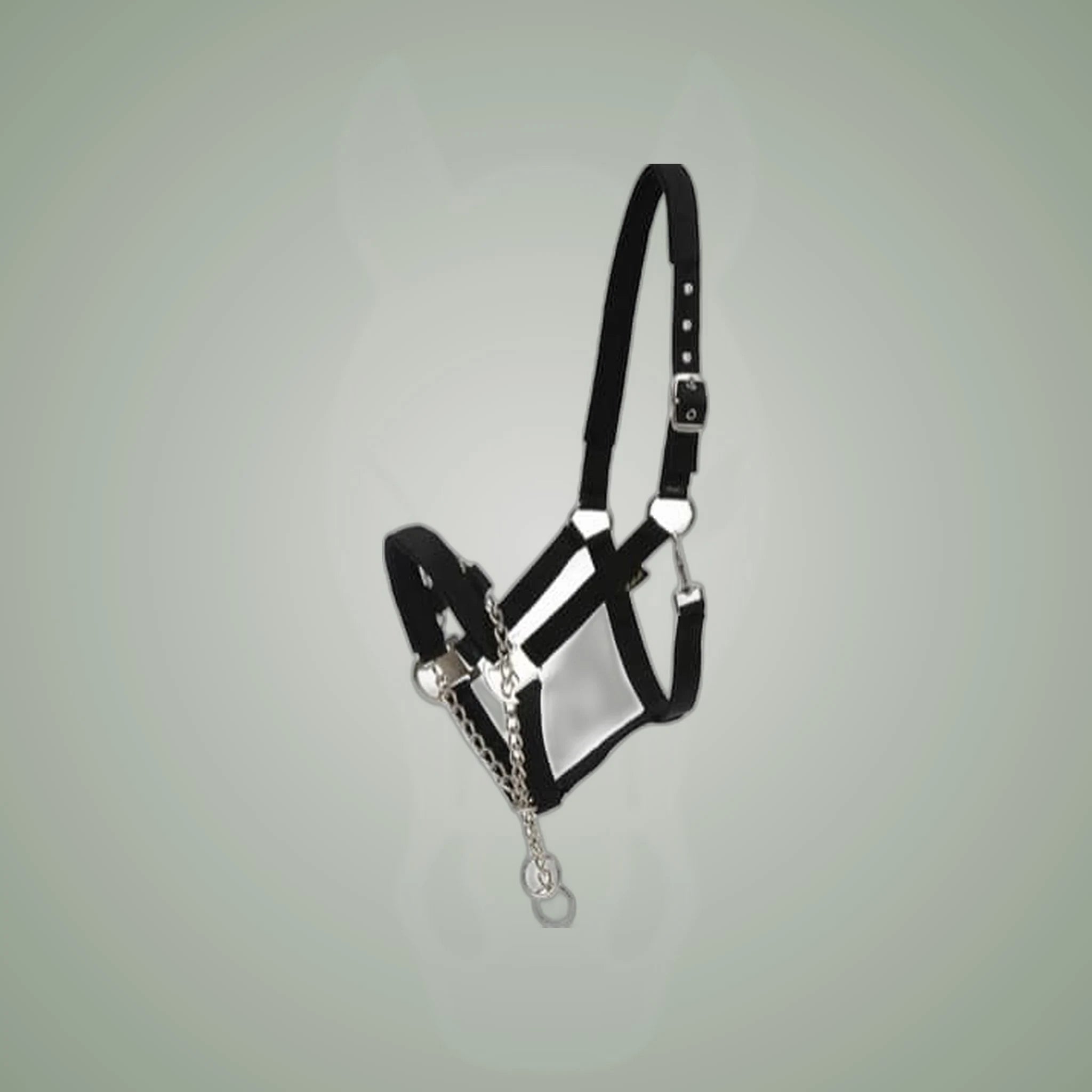 HorseGuard Halter with Chain product photo