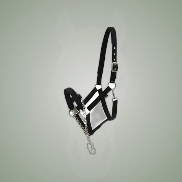 HorseGuard Halter with Chain