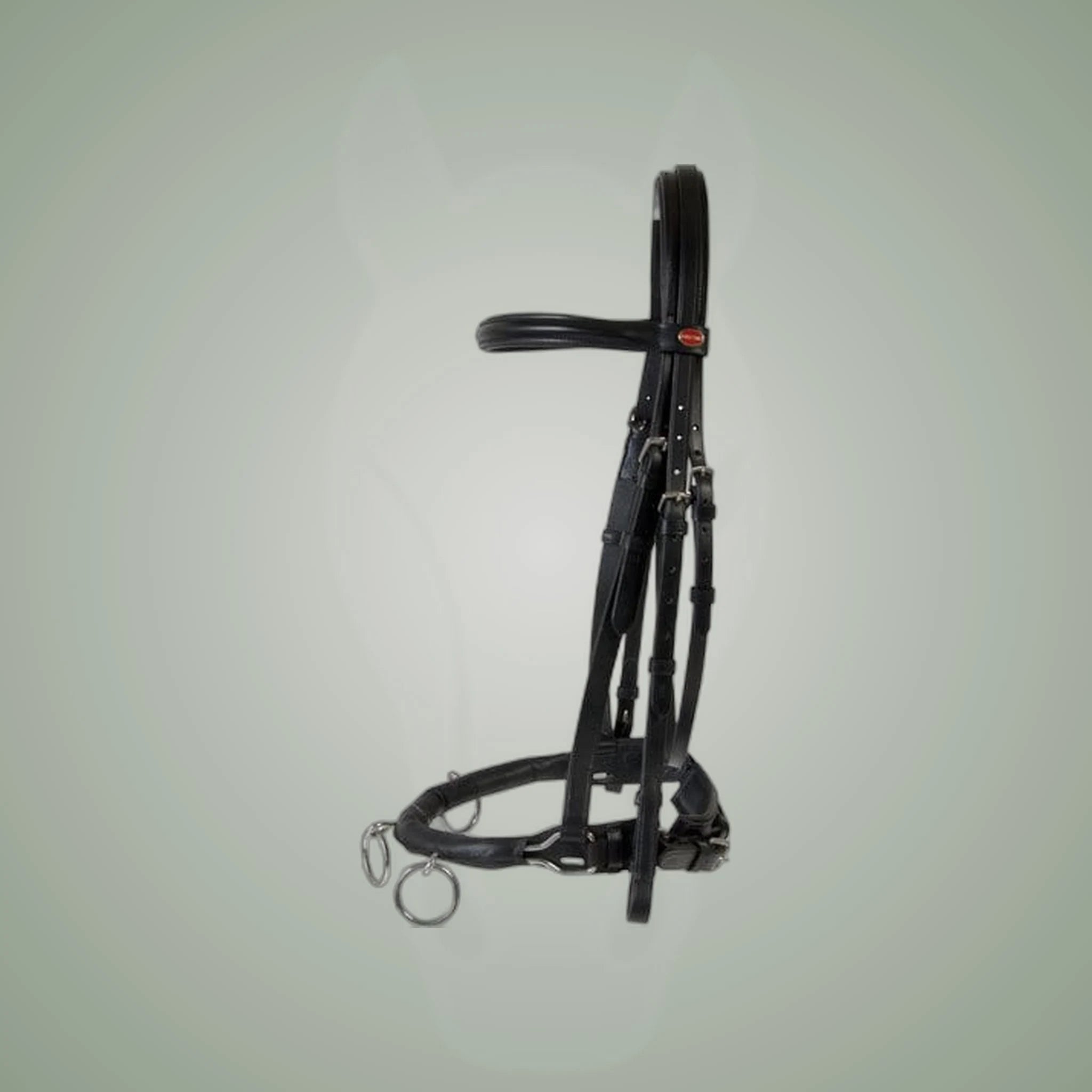 HorseGuard Leather Lunging Cavesson on One-Eyed Equine branded background