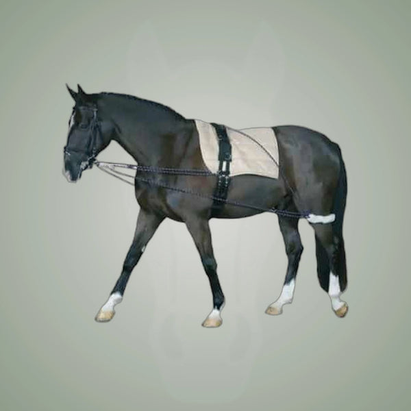 HorseGuard Lunging System