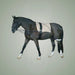 HorseGuard Lunging System on One-Eyed Equine branded background