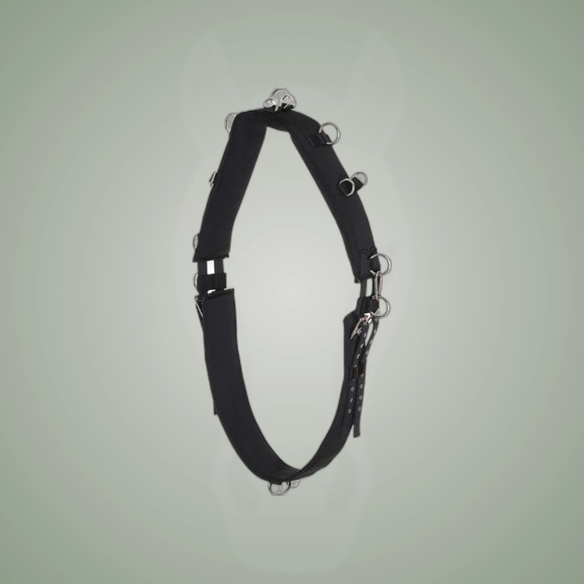 HorseGuard Synthetic Lunging Surcingle on One-Eyed Equine branded background