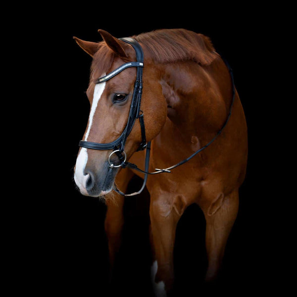 HorseGuard Tine Anatomical Bridle
