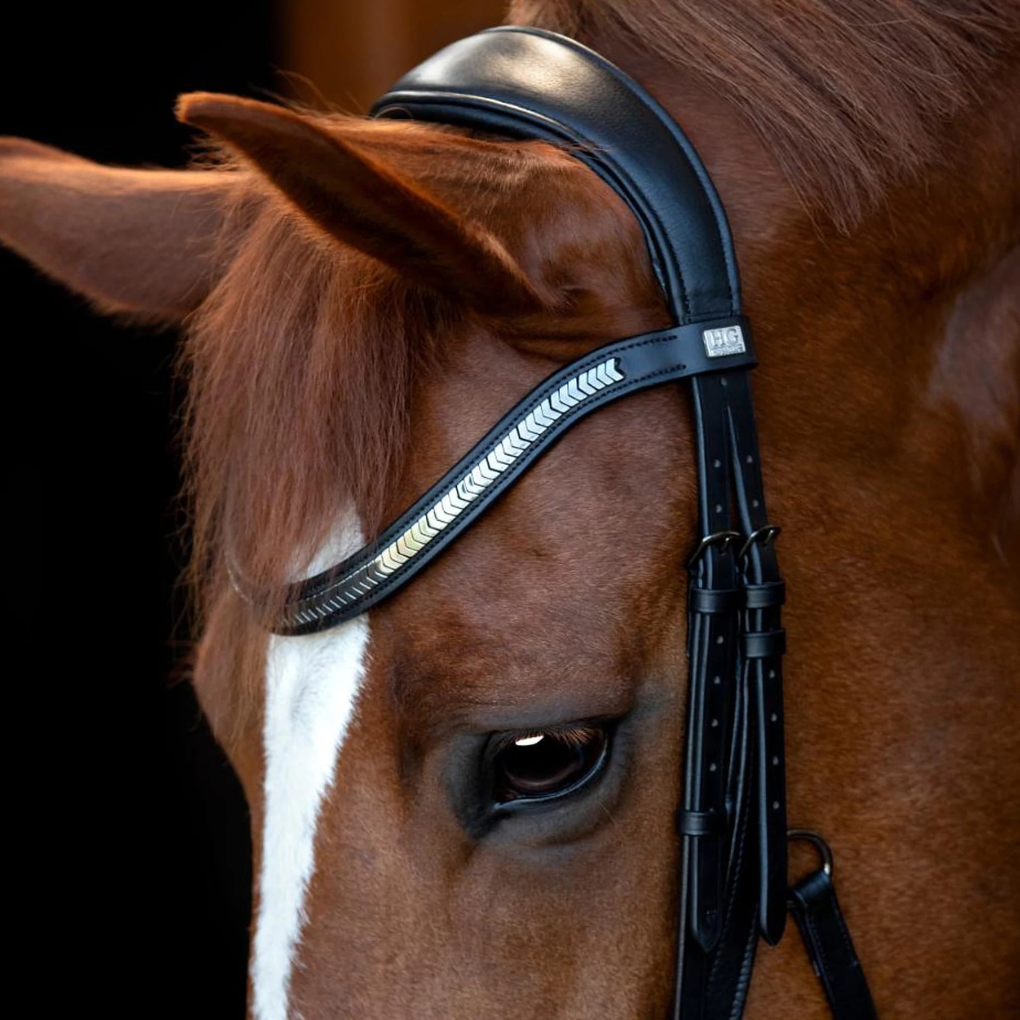 HorseGuard Tine Anatomical Bridle product photo