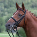 Kieffer Anja Beran Double Bridle product photo