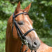 Kieffer Anja Beran Double Bridle product photo