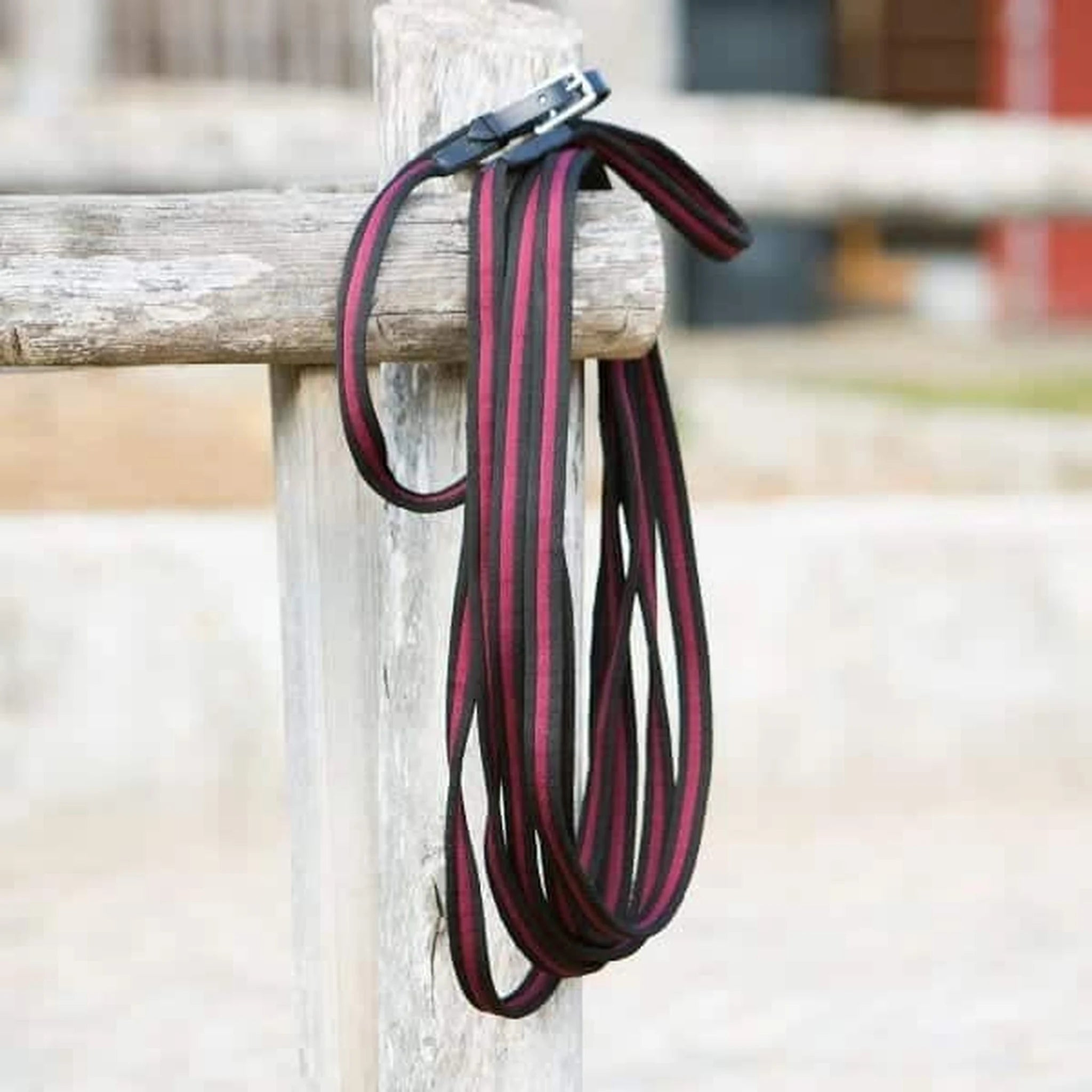Kieffer Anja Beran Soft Lunging Line product photo