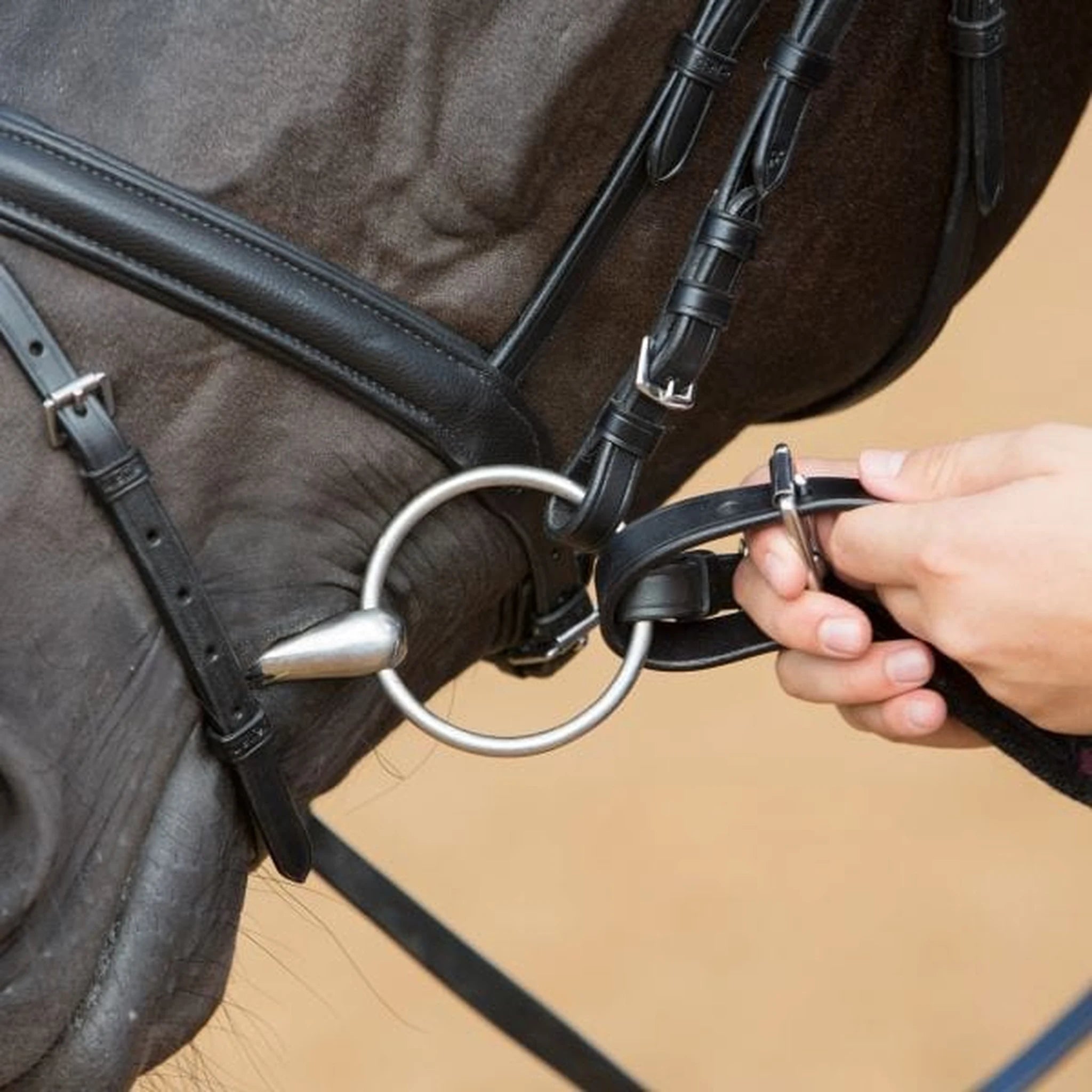 Kieffer Anja Beran Soft Lunging Line product photo