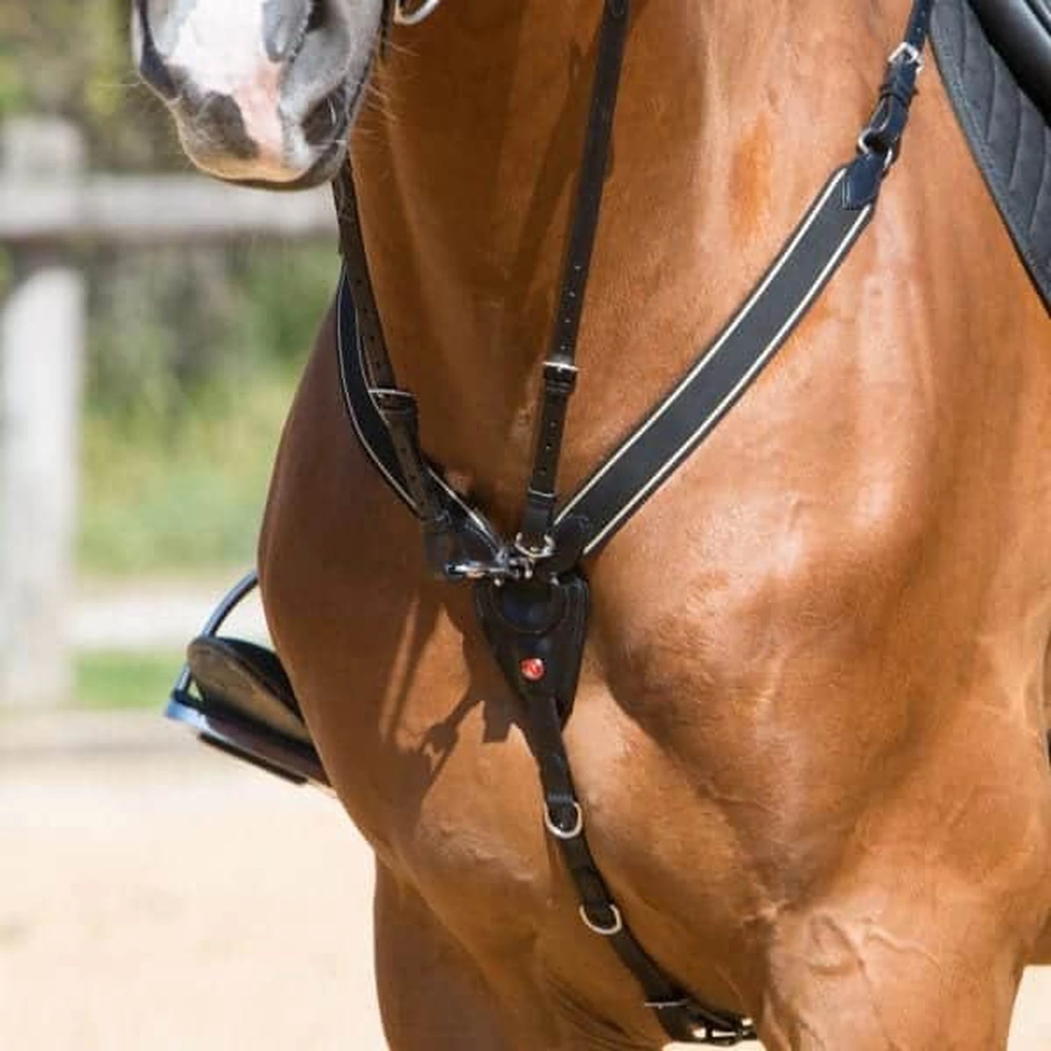 Kieffer Arlene Breastplate product photo