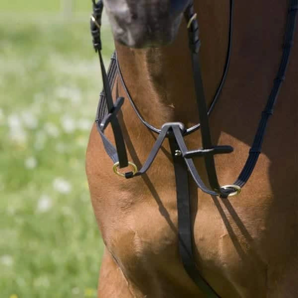 Kieffer Belinda Martingale - Breastplate