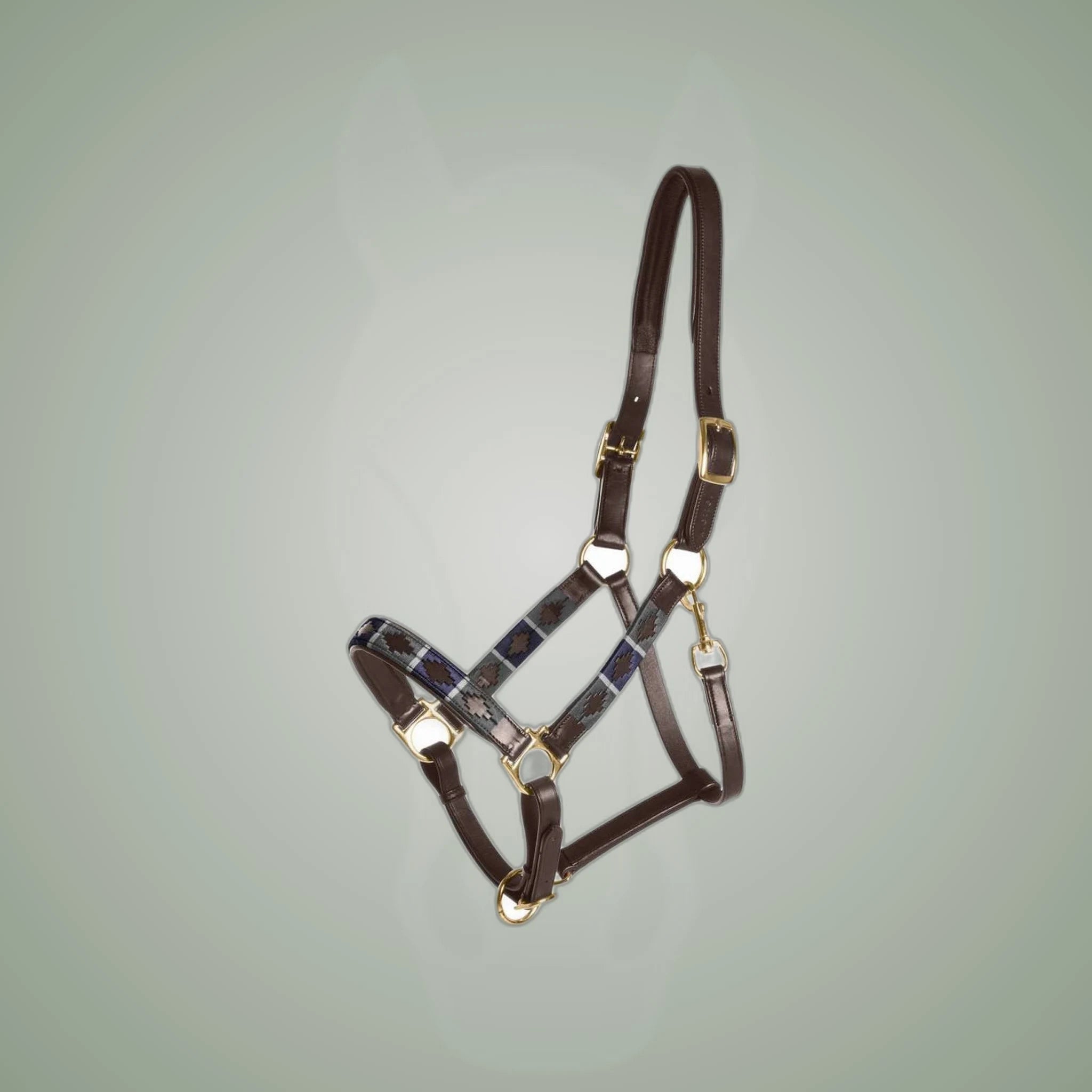 Kieffer Buenos Aires Leather Halter on One-Eyed Equine branded background