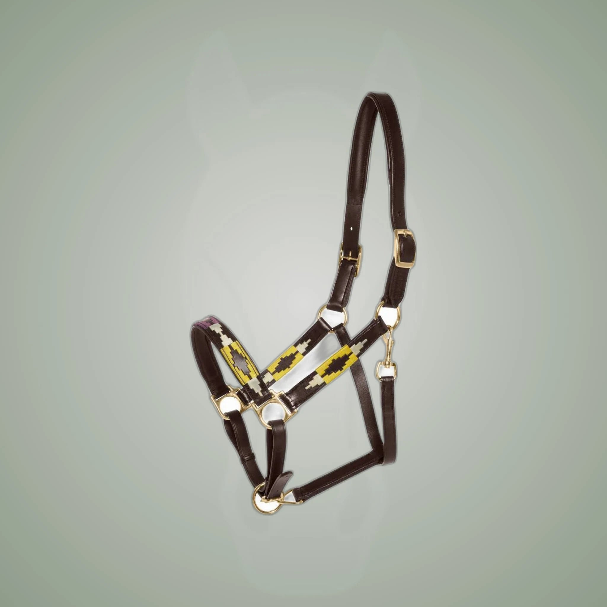 Kieffer Buenos Aires Leather Halter on One-Eyed Equine branded background