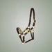 Kieffer Buenos Aires Leather Halter on One-Eyed Equine branded background