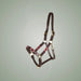 Kieffer Buenos Aires Leather Halter on One-Eyed Equine branded background