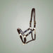 Kieffer Buenos Aires Leather Halter on One-Eyed Equine branded background