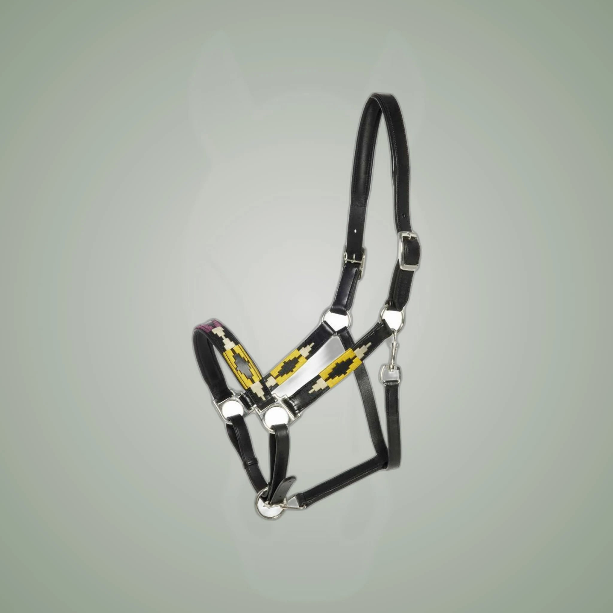 Kieffer Buenos Aires Leather Halter on One-Eyed Equine branded background