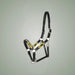 Kieffer Buenos Aires Leather Halter on One-Eyed Equine branded background