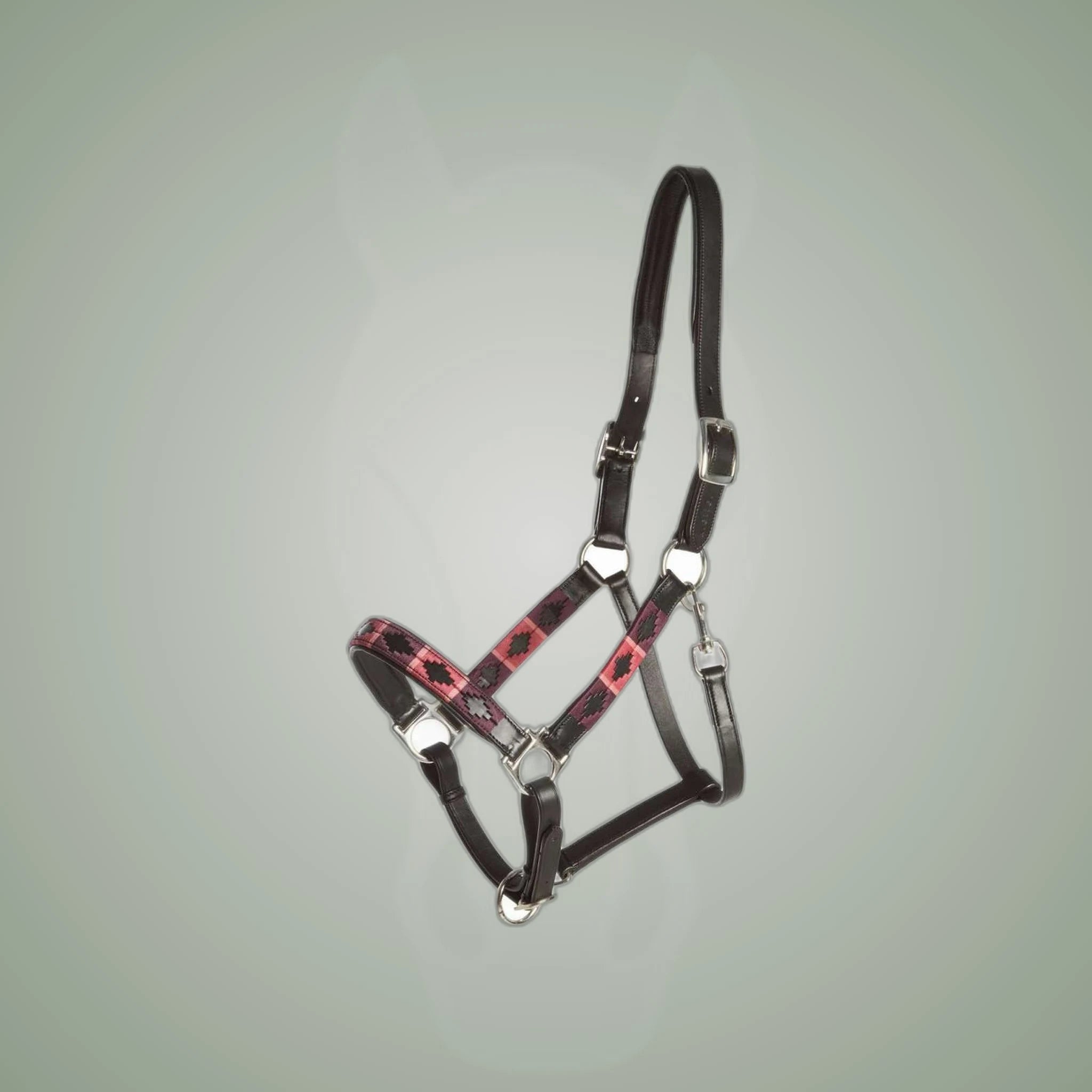 Kieffer Buenos Aires Leather Halter on One-Eyed Equine branded background