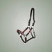Kieffer Buenos Aires Leather Halter on One-Eyed Equine branded background