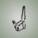 Kieffer Buenos Aires Leather Halter on One-Eyed Equine branded background