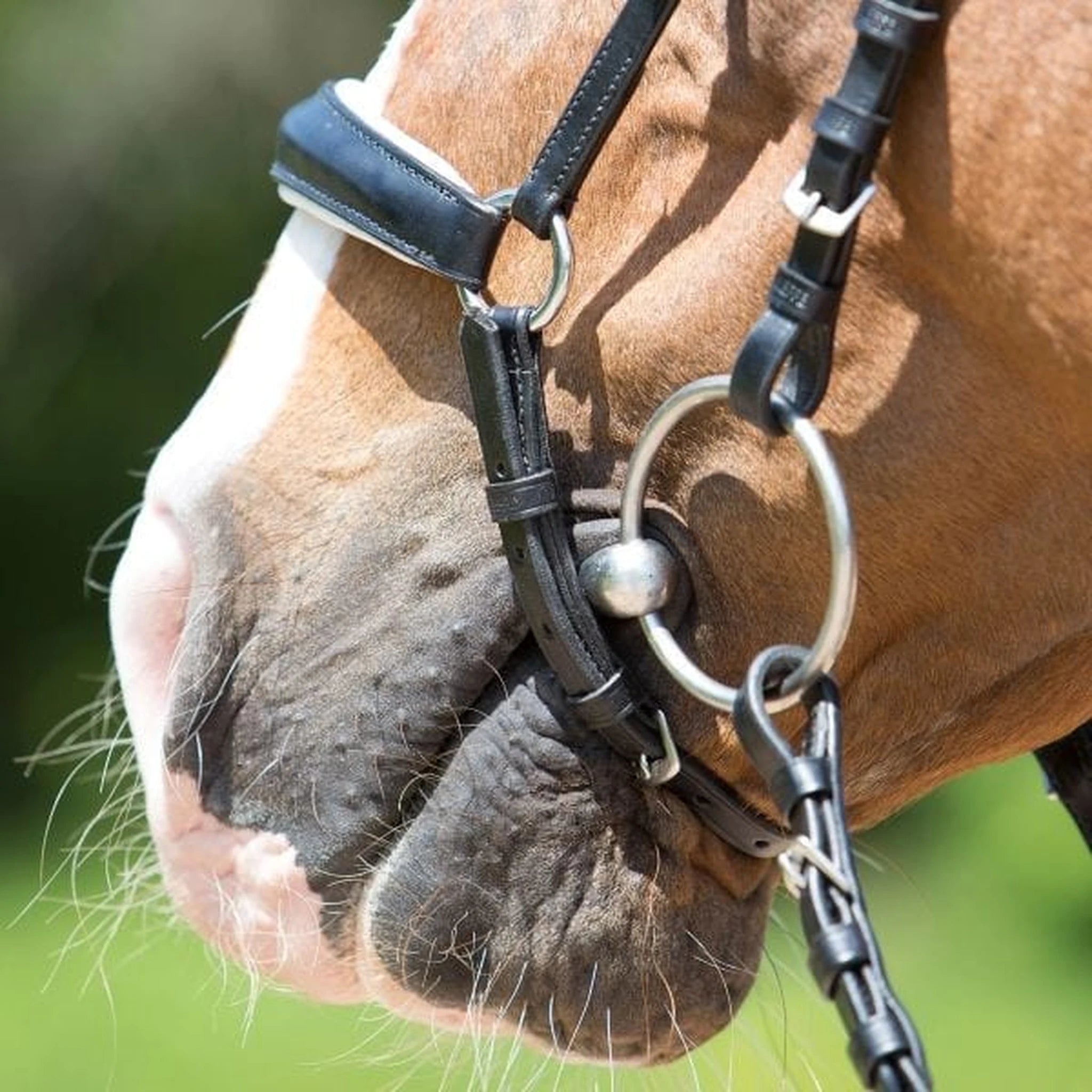 Kieffer Comfort Lyon Snaffle Bridle product photo