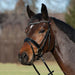 Kieffer Comfort Paris Snaffle Bridle product photo